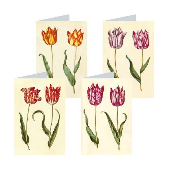 Briefkarten: Gottorfer Tulpen-Duett