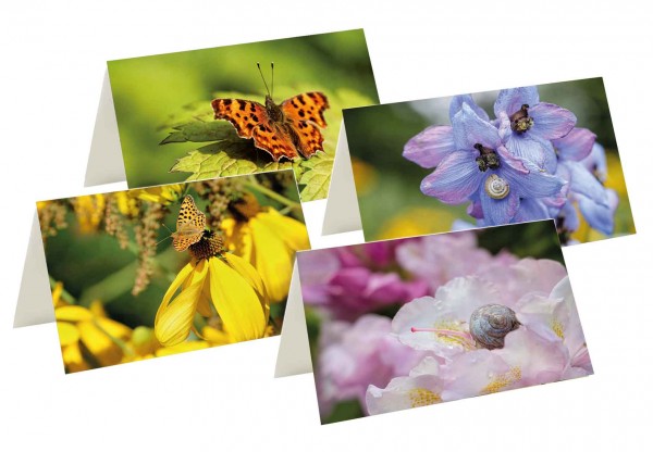 Briefkarten: Blütenbesuch im Foerster-Garten