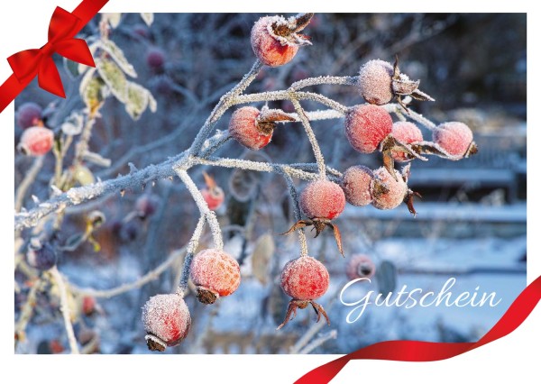 Geschenkgutschein Foerster-Garten. € 75